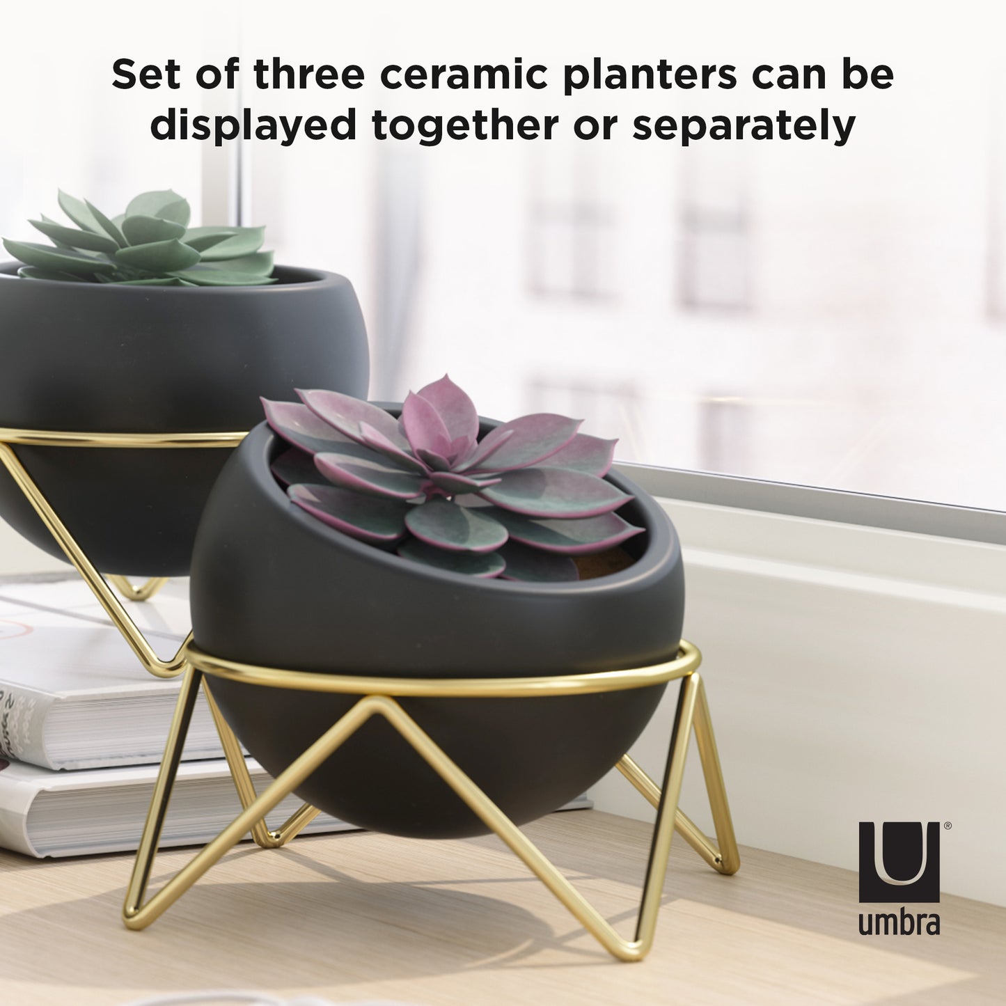 Potsy Planter (Set of 3) - Black/Brass