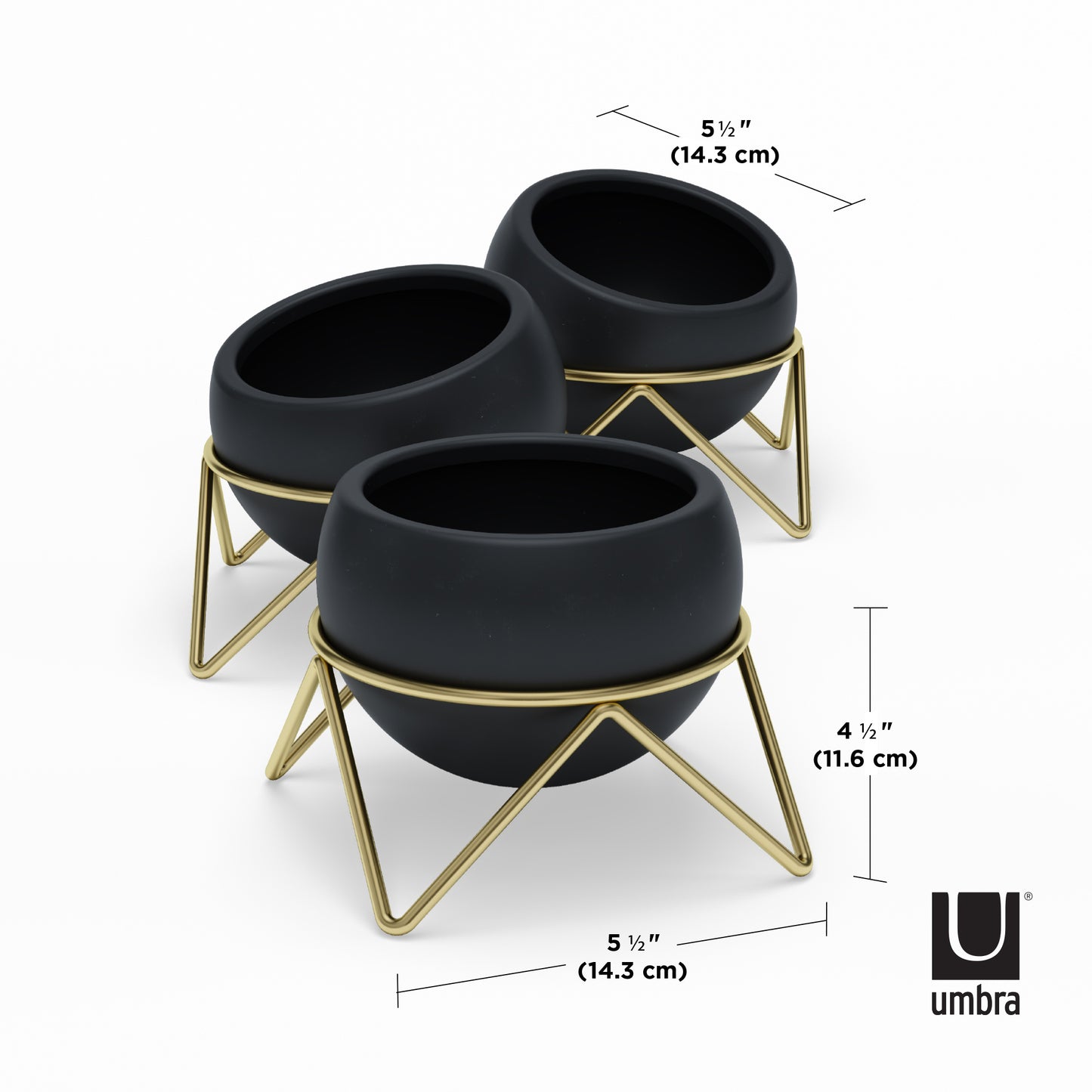 Potsy Planter (Set of 3) - Black/Brass