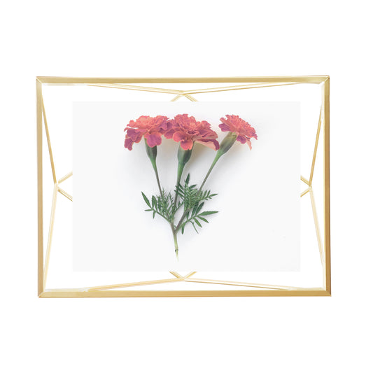 Prisma Picture Frame 4" x 6" - Matte Brass