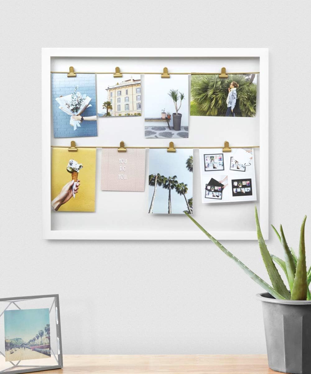 Clipline Photo Display - White