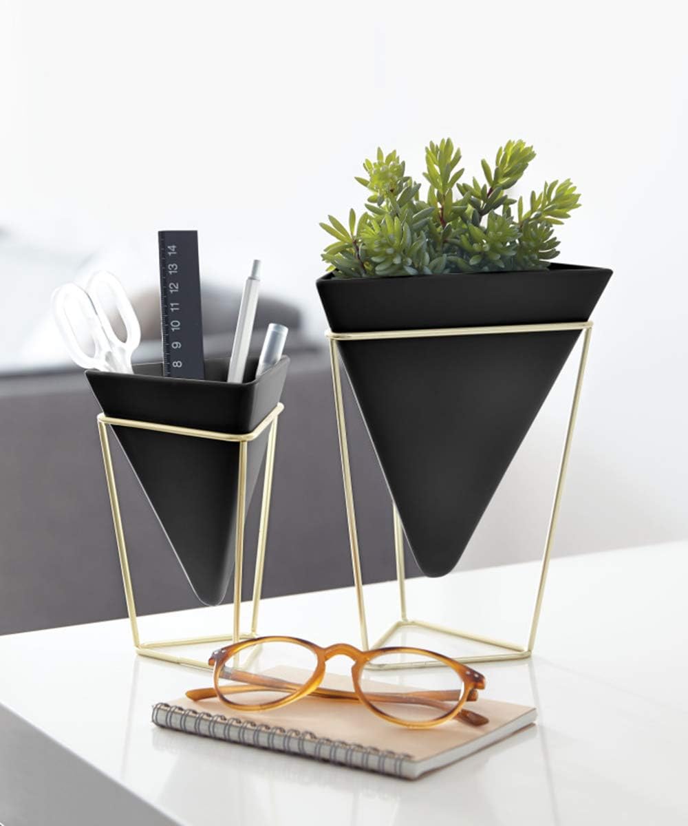 Trigg Tabletop Vessels, Set of 2 - Black/Brass