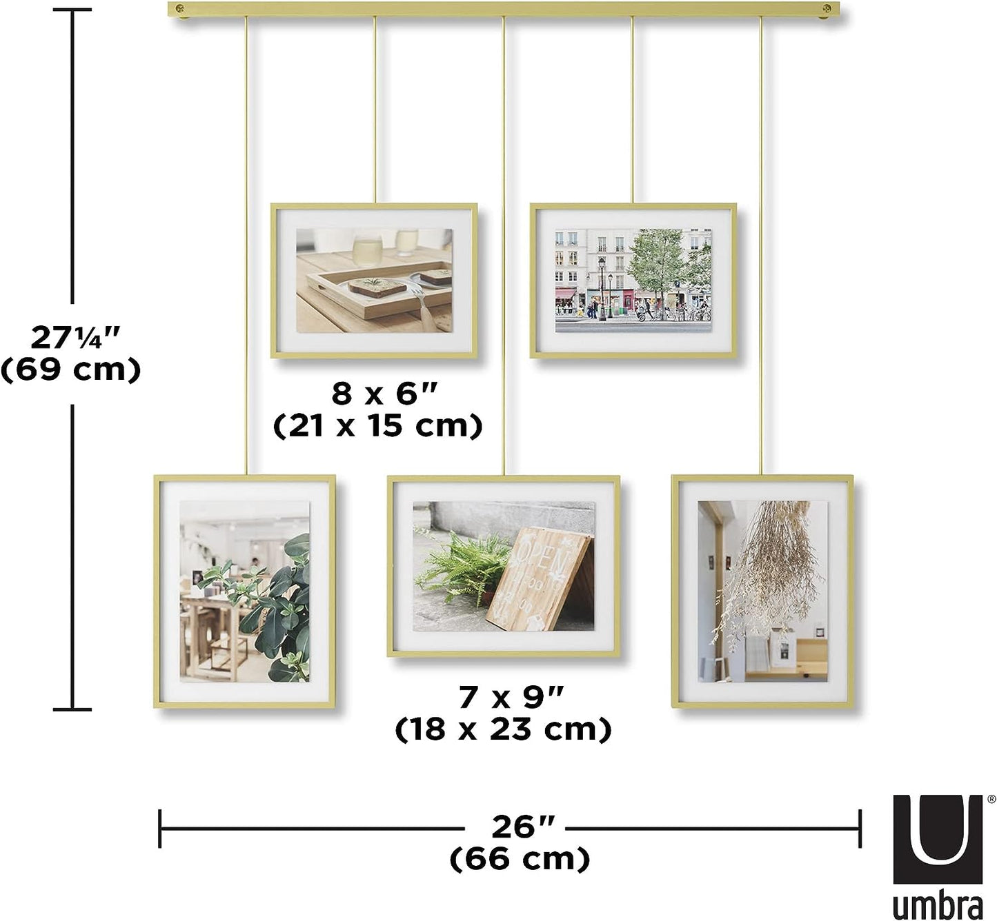 Exhibit Photo Display (Set of 5) - Matte Brass