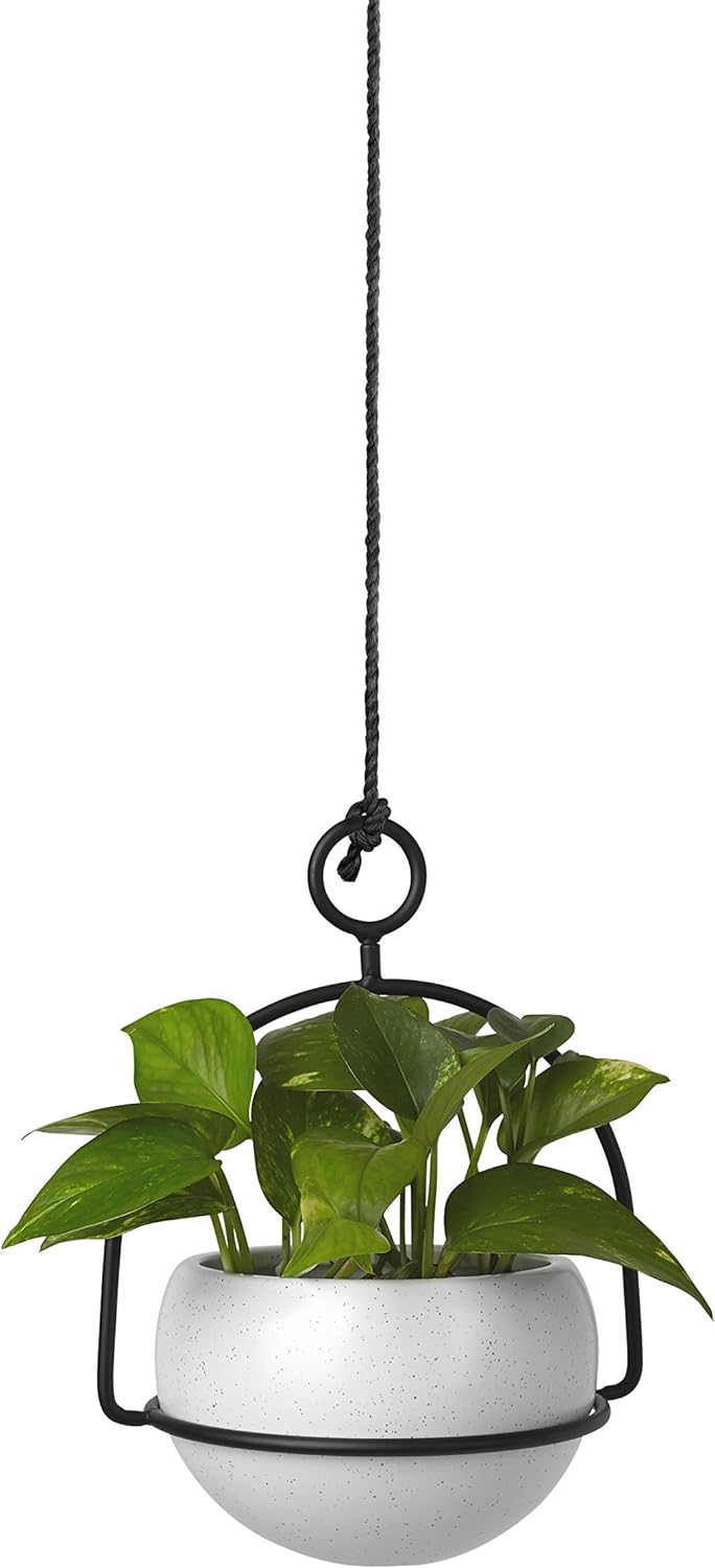 Nesta Table Top or Hanging Modern Planter - White Spec