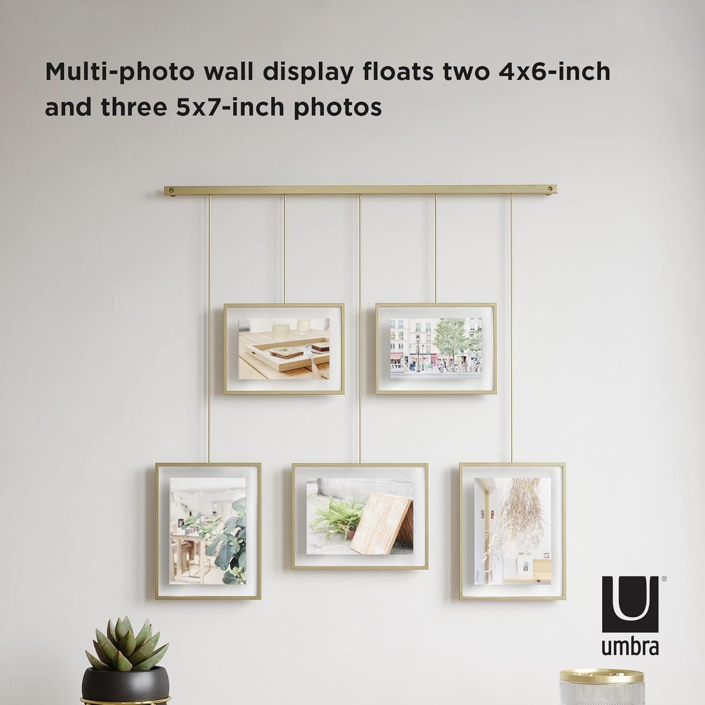 Exhibit Photo Display (Set of 5) - Matte Brass