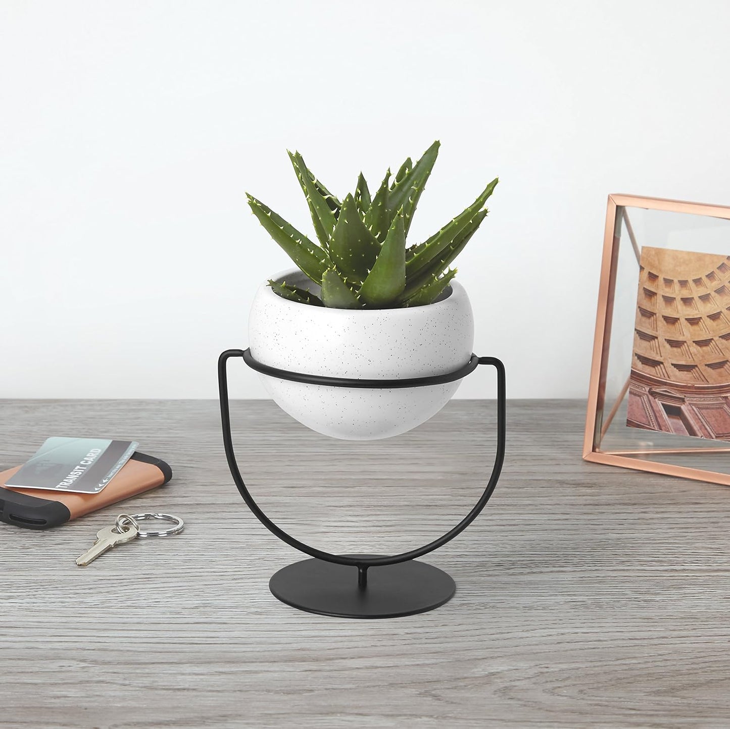 Nesta Table Top or Hanging Modern Planter - White Spec