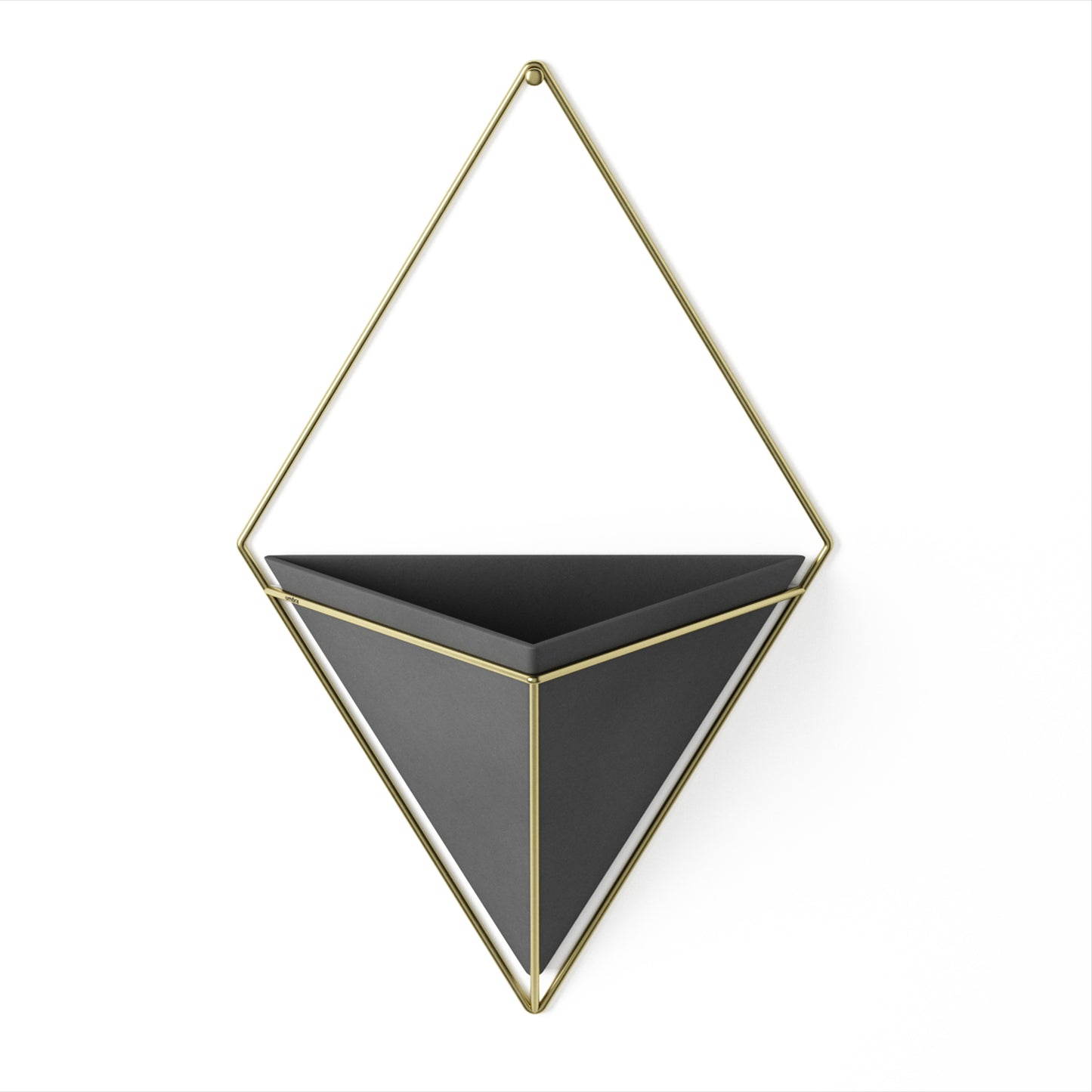 Trigg Wall Display - Black/Brass