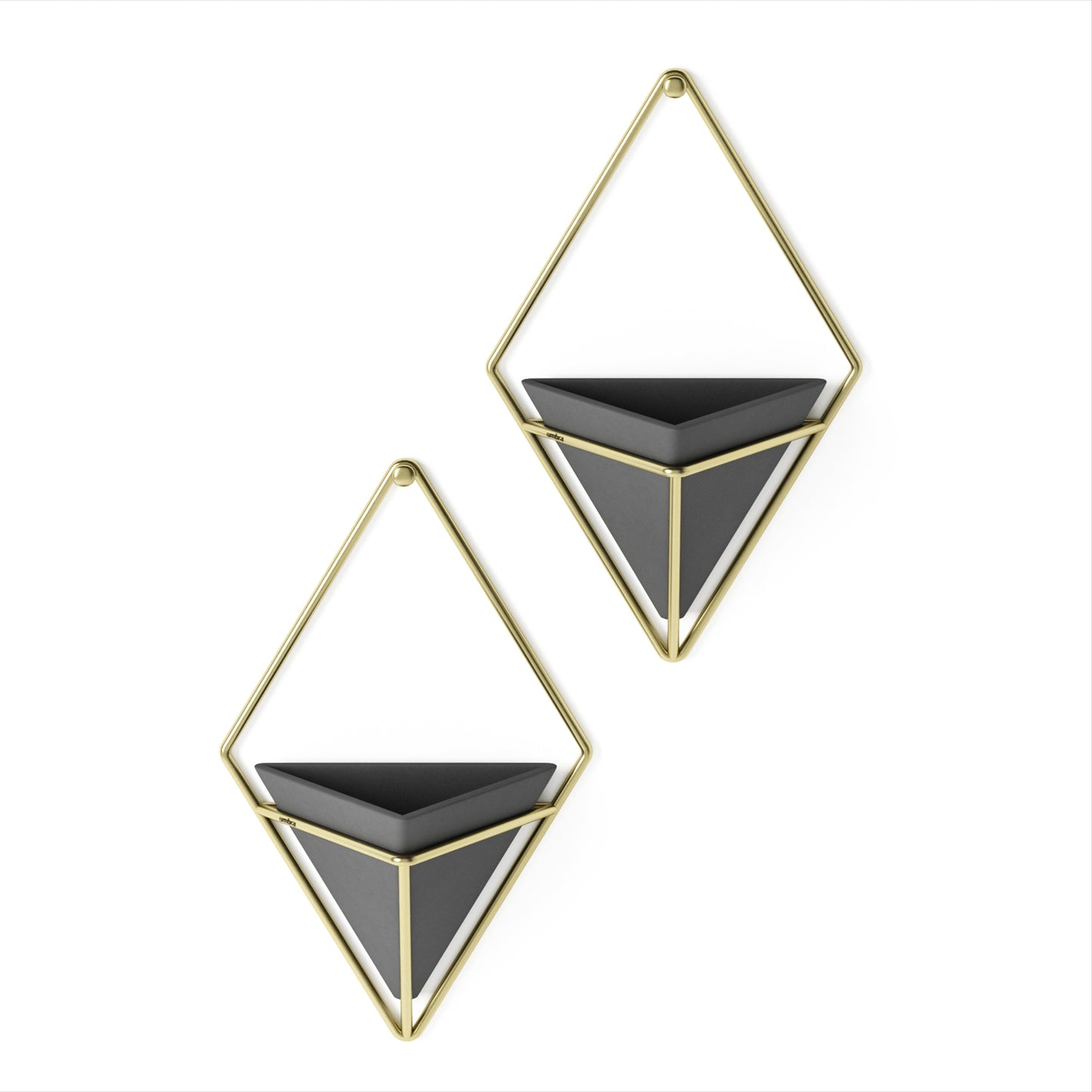 Trigg Wall Display Set of 2 - Black/Brass