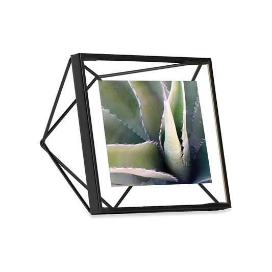 Prisma Picture Frame 4" x 4" - Black