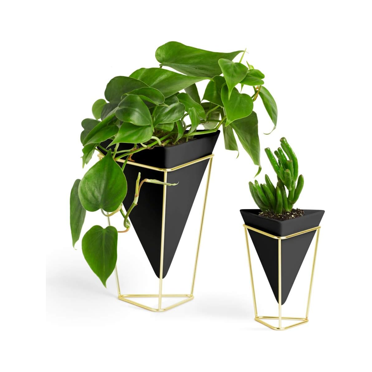 Trigg Tabletop Vessels, Set of 2 - Black/Brass